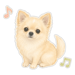 aoi_20260814225525