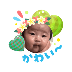 Yukinkon_20260814231426