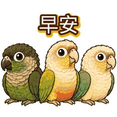 Cute Parrot Trio in Motion