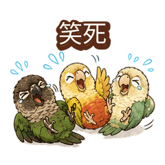 Parrot Trio Meme Reactions