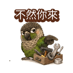 Parrot Trio Silly Comebacks