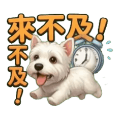 West Highland Terrier: Busy Day