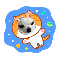 puipui_20260813105153