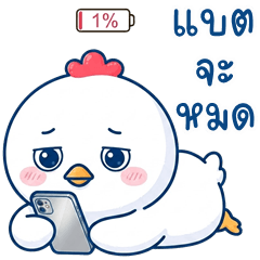 น้องไก่จิ๊บจิ๊บ