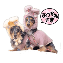 MAYU_20260815075216