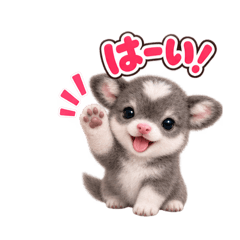 sumomo_20260815092550