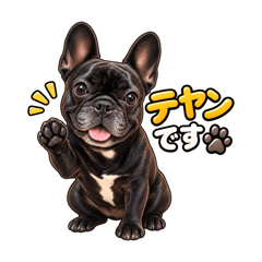 TAIKI_20260815100542
