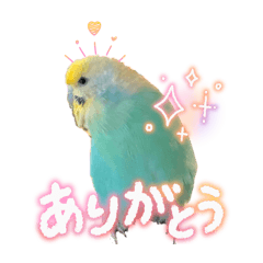 Konatsu_20260815105151