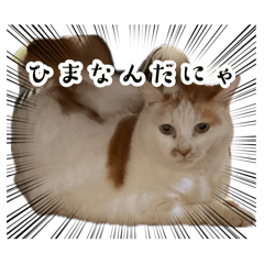 yuma_20260815105521
