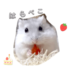 miru_20260815111043