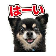 soramilk_hide