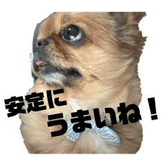 azu_20260815122313