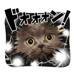 Queennyanko136_20260815122541