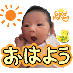 Hisui_20260815123009