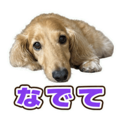 kuu_20260815132435