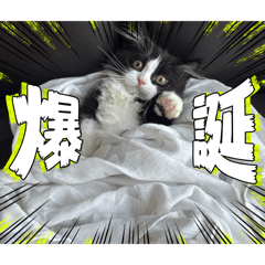 naruse_20260815123016