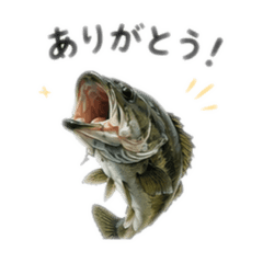 haru_20260815155730