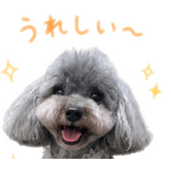 fumie_20260815135942