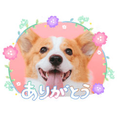 yuka_20260815151233