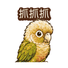 Parrot Cutie Scratch Time