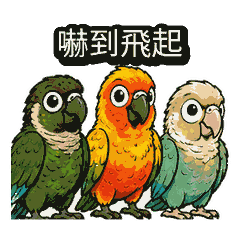 Parrot Trio Comic Fun