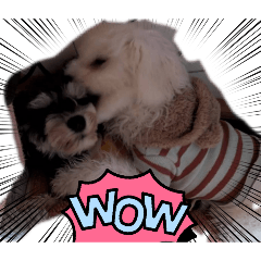 mayu_20260815180542