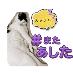 Nana_20260815222701