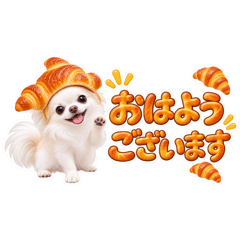 aya_20260815213740