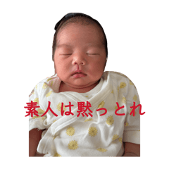 haru_20260815213337