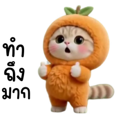 Orange Kitty : You Ate That!