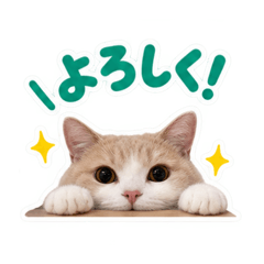 yuka_20260816020528