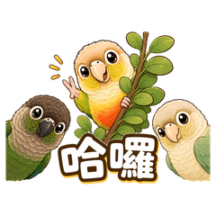 Parrot Trio Sparkling Effects
