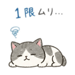 a chill college cat