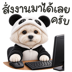 Poodle Panda  working