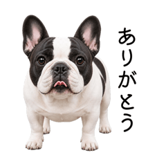 BUN_20260814101952