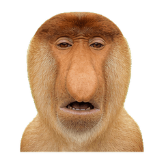 Reiwa Office Proboscis Monkey 1