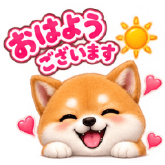 Every day with a Mame Shiba.