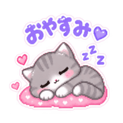 Cute Fluffy Kitty Everyday & Relaxing
