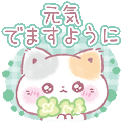 Gentle Punyanko