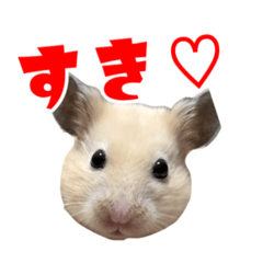 INUPO_20260814155440