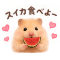 maru_20260814154705