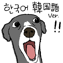 어찌어찌 살아가는 이그하