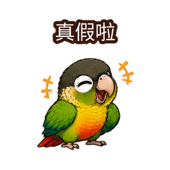 Taiwan Parrot Slang Motion