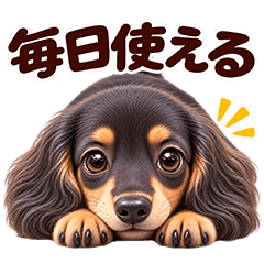 表情いっぱい！タンくんの日常