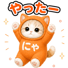 Cat Costume Reactions (JP) 135