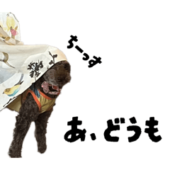 mayu_20260816174436
