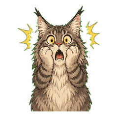 Maine Coon Wordless Reactions