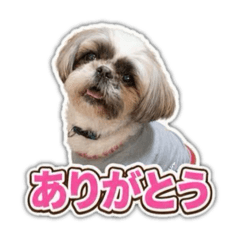 saya_20260816163829