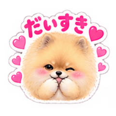 ♡ふわもこポメ♡毎日使える♡きゅんかわ3