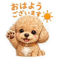 Toy Poodle Kohaku-kun_-keigo